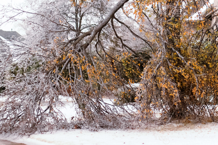 Dallas Wedding Photographers - K & S Photography